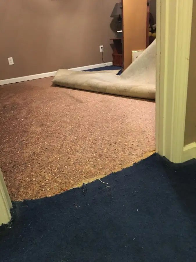 Carpet pad removal revealing water damage during Drying & Dehumidification in South Whitehall