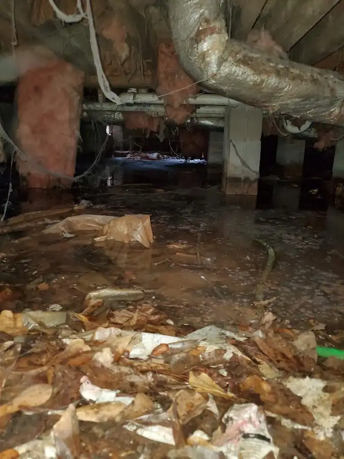 Crawl space flood assessment for Leak Detection & Repair in South Whitehall